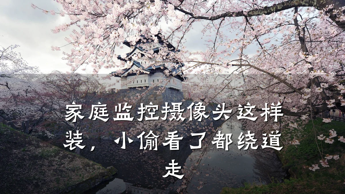 家庭监控摄像头这样装,小偷看了都绕道走