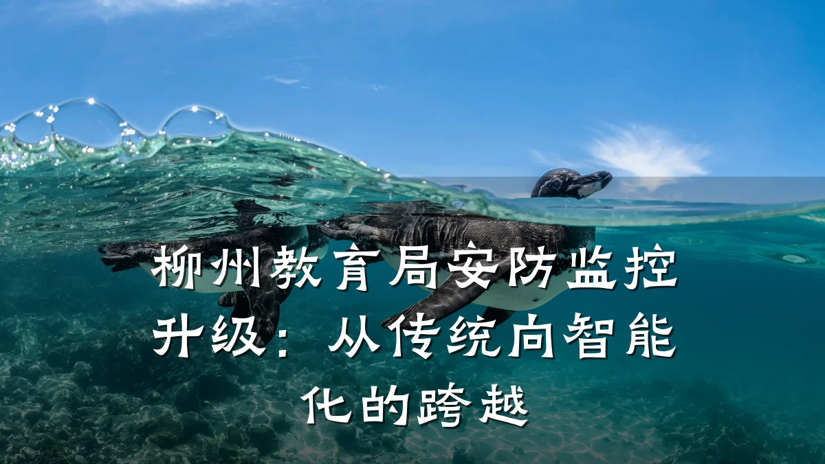 柳州教育局安防监控升级:从传统向智能化的跨越