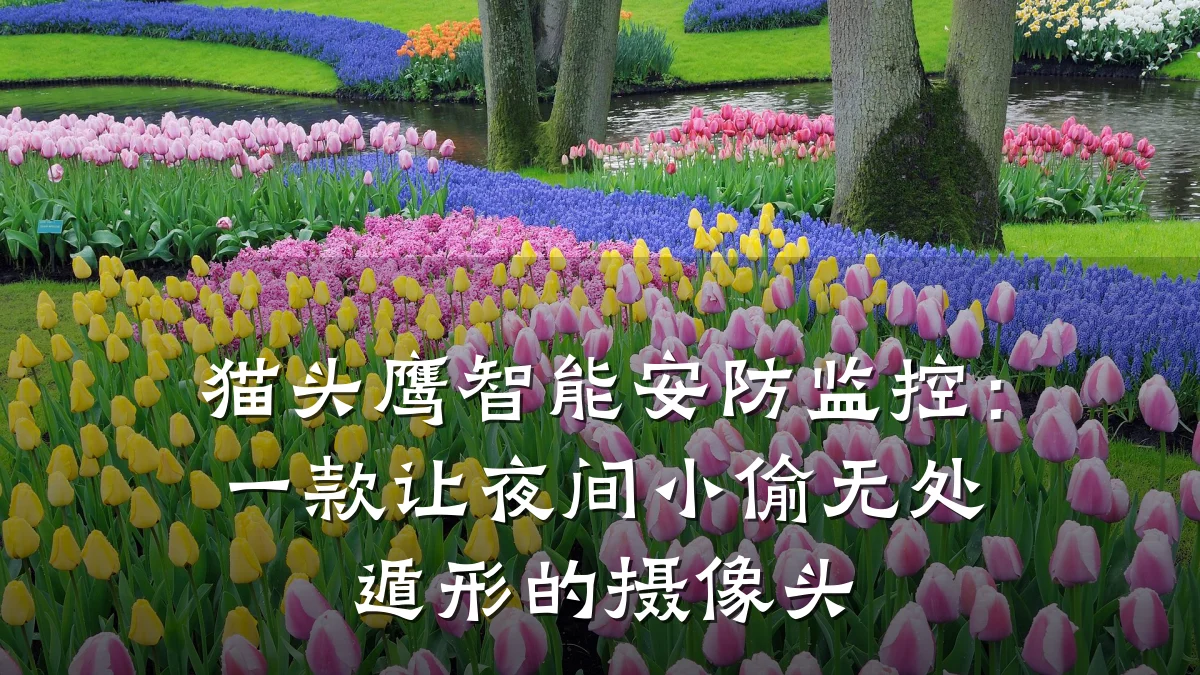猫头鹰智能安防监控:一款让夜间小偷无处遁形的摄像头
