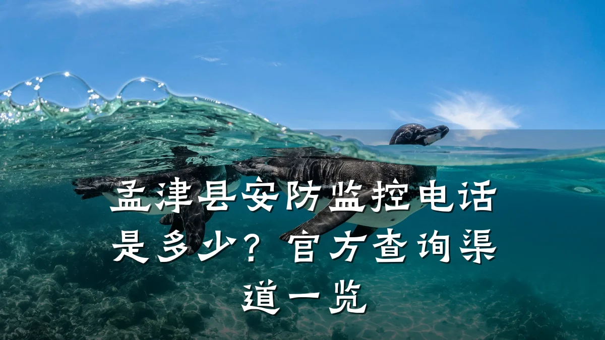 孟津县安防监控电话是多少?官方查询渠道一览