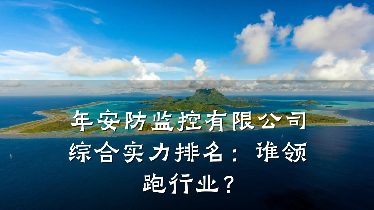 年安防监控有限公司综合实力排名：谁领跑行业？