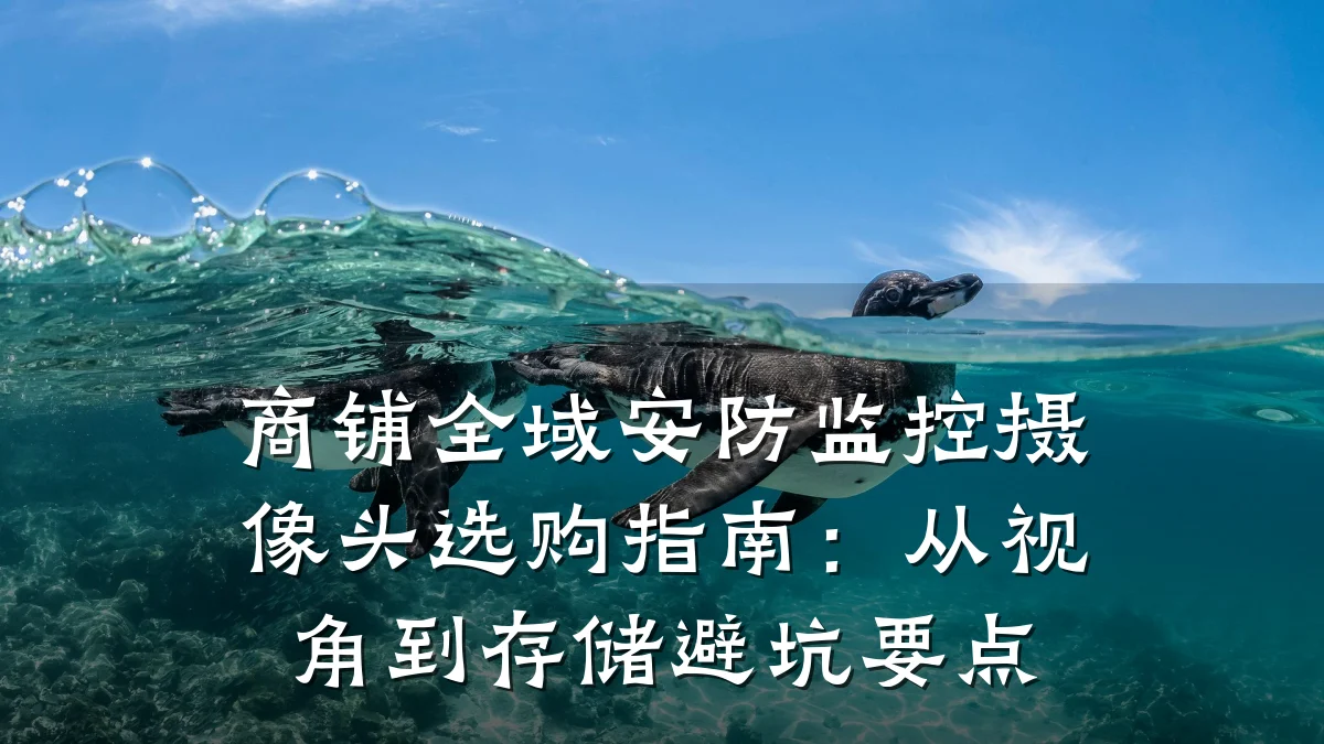 商铺全域安防监控摄像头选购指南:从视角到存储避坑要点