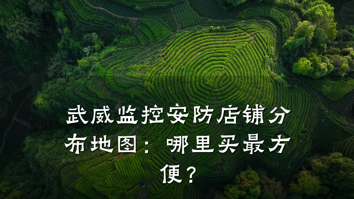武威监控安防店铺分布地图：哪里买最方便？