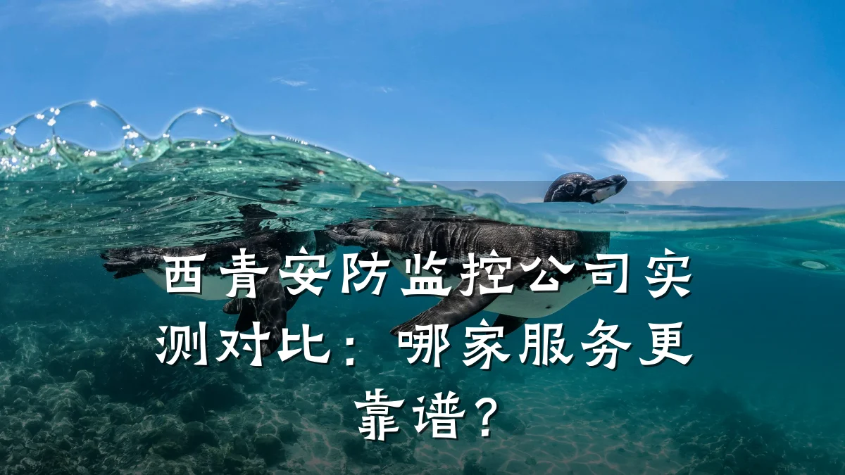 西青安防监控公司实测对比:哪家服务更靠谱?