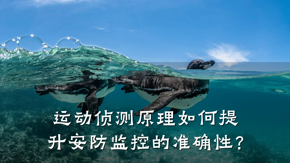运动侦测原理如何提升安防监控的准确性?