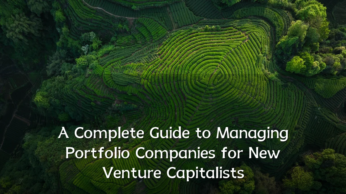 A Complete Guide to Managing Portfolio Companies for New Venture Capitalists