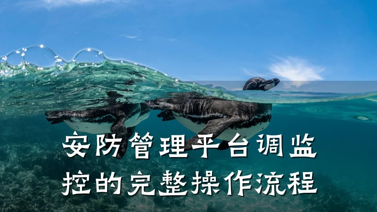 安防管理平台调监控的完整操作流程