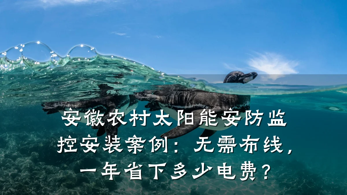 安徽农村太阳能安防监控安装案例:无需布线,一年省下多少电费?