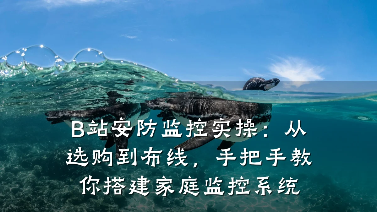 B站安防监控实操：从选购到布线，手把手教你搭建家庭监控系统