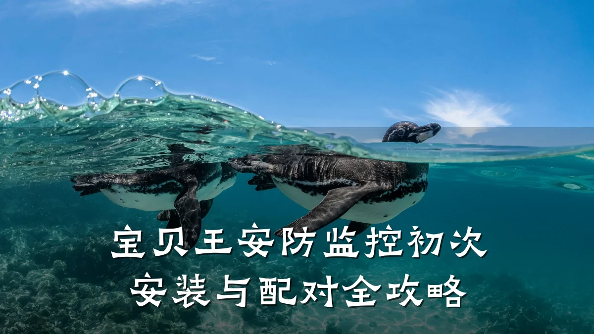 宝贝王安防监控初次安装与配对全攻略
