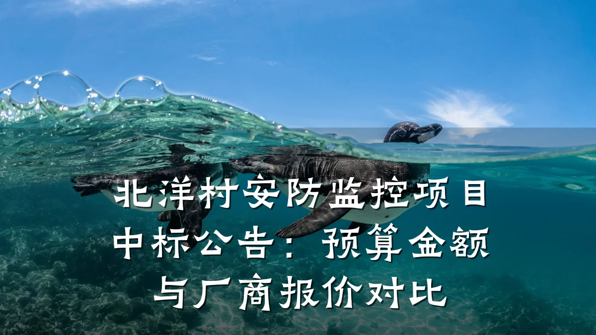 北洋村安防监控项目中标公告：预算金额与厂商报价对比