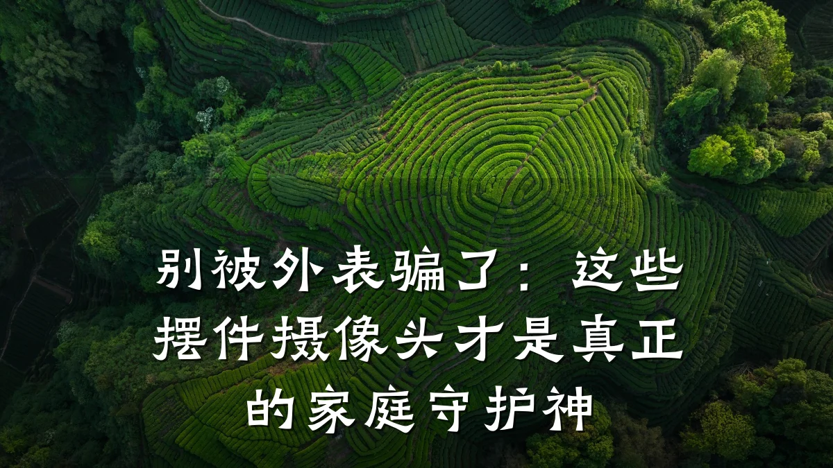 别被外表骗了:这些摆件摄像头才是真正的家庭守护神