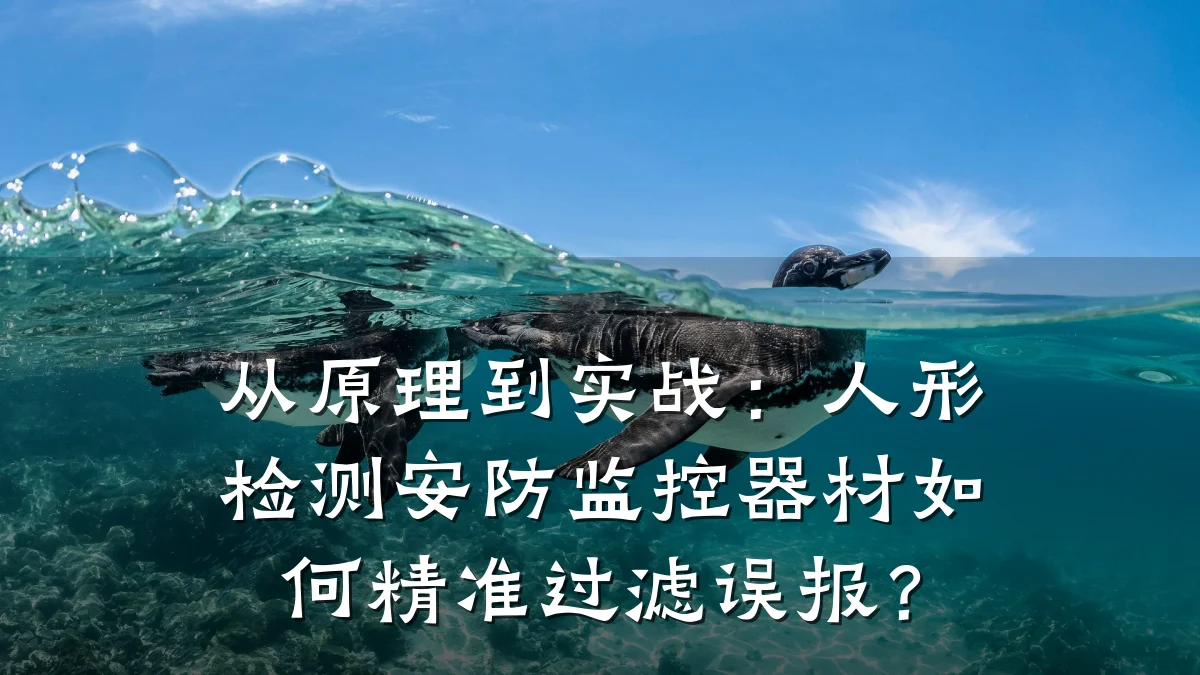 从原理到实战:人形检测安防监控器材如何精准过滤误报?