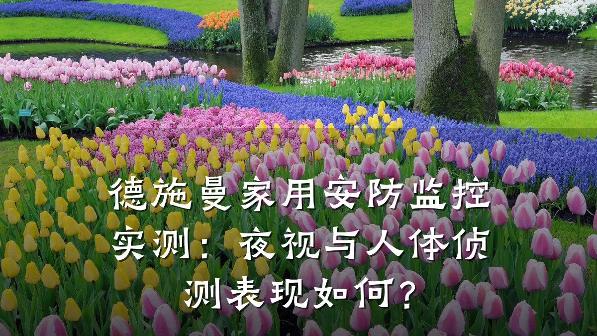 德施曼家用安防监控实测:夜视与人体侦测表现如何?