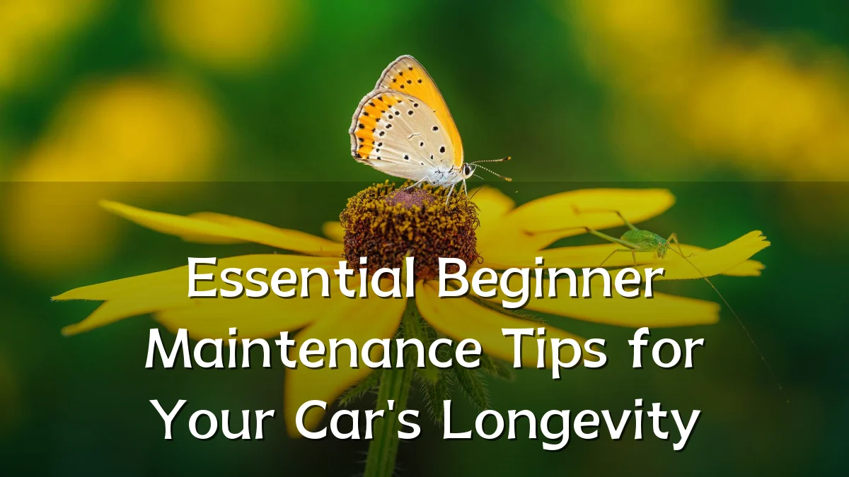 Essential Beginner Maintenance Tips for Your Car's Longevity