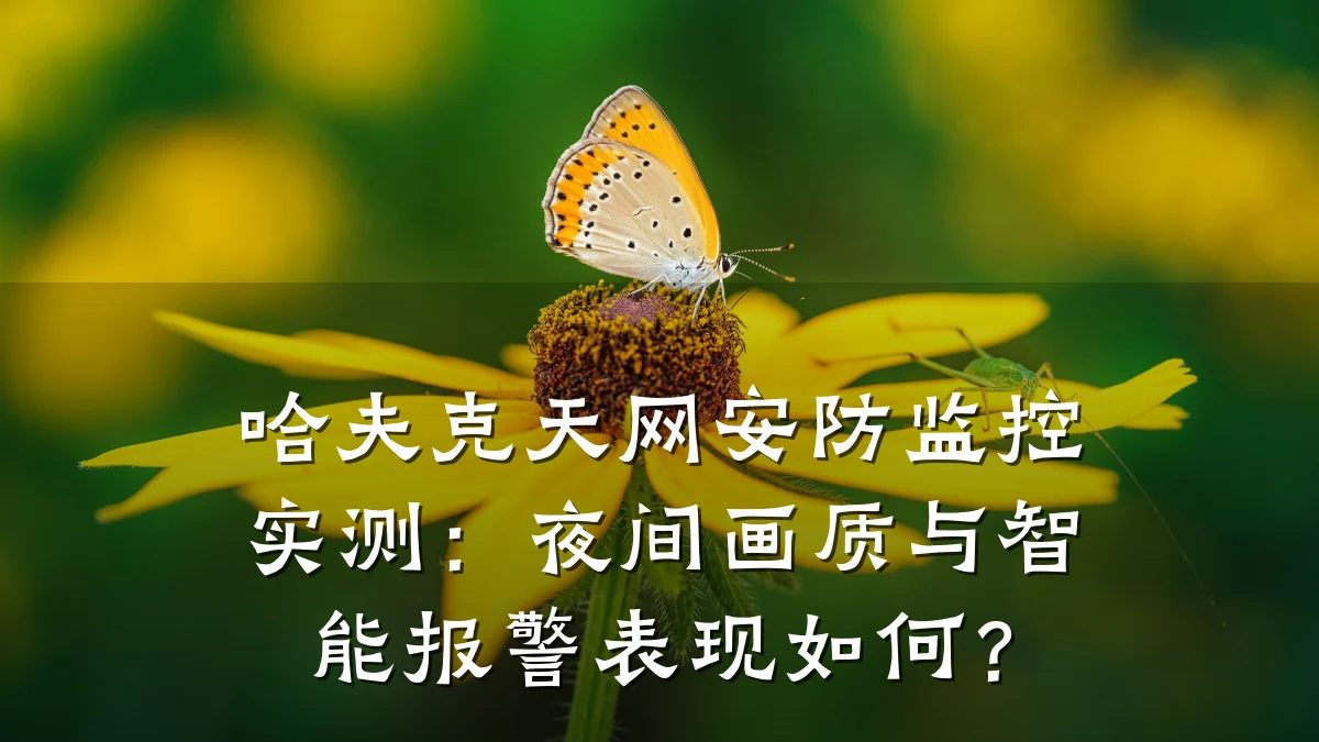 哈夫克天网安防监控实测:夜间画质与智能报警表现如何?