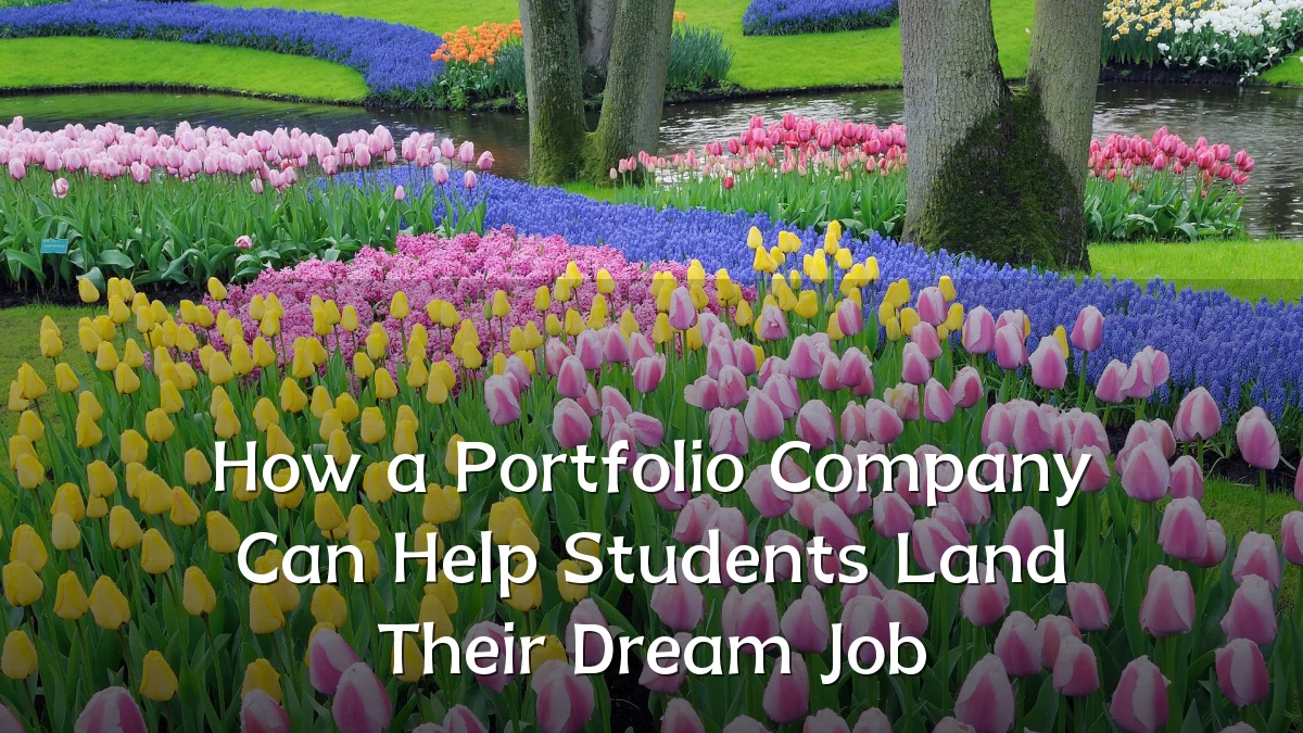How a Portfolio Company Can Help Students Land Their Dream Job