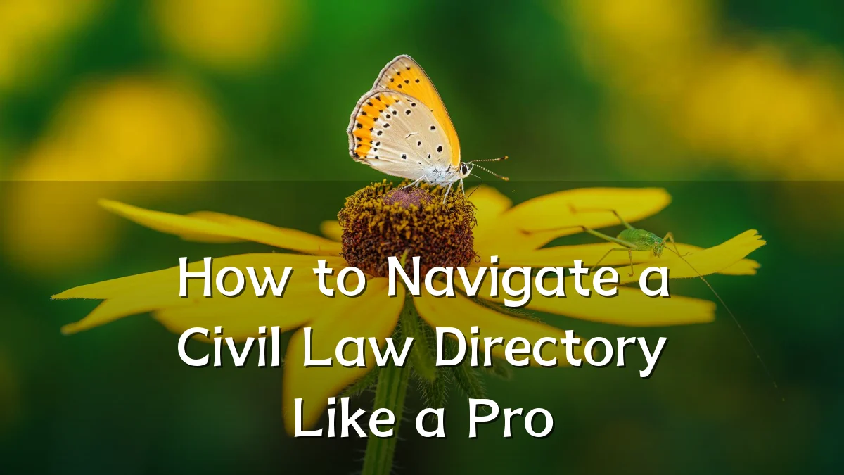 How to Navigate a Civil Law Directory Like a Pro