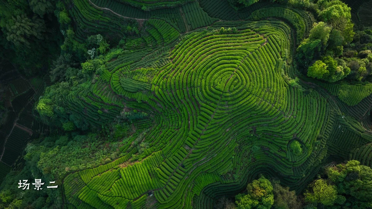 场景二