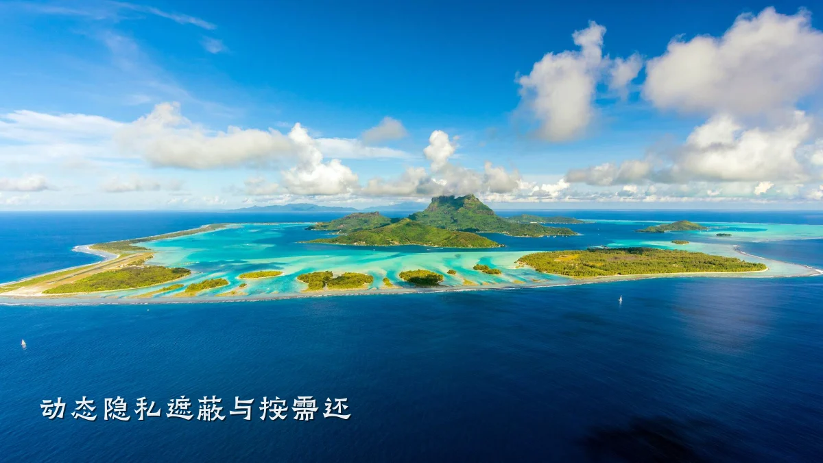 动态隐私遮蔽与按需还