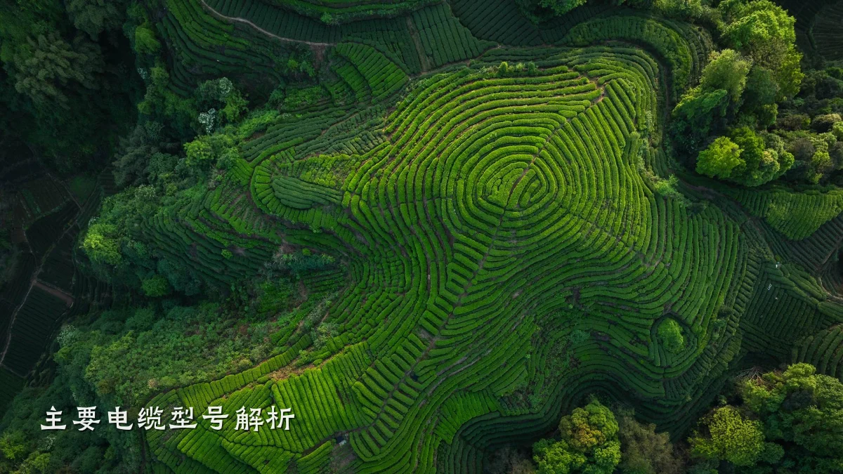 主要电缆型号解析