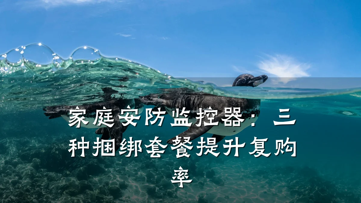 家庭安防监控器:三种捆绑套餐提升复购率