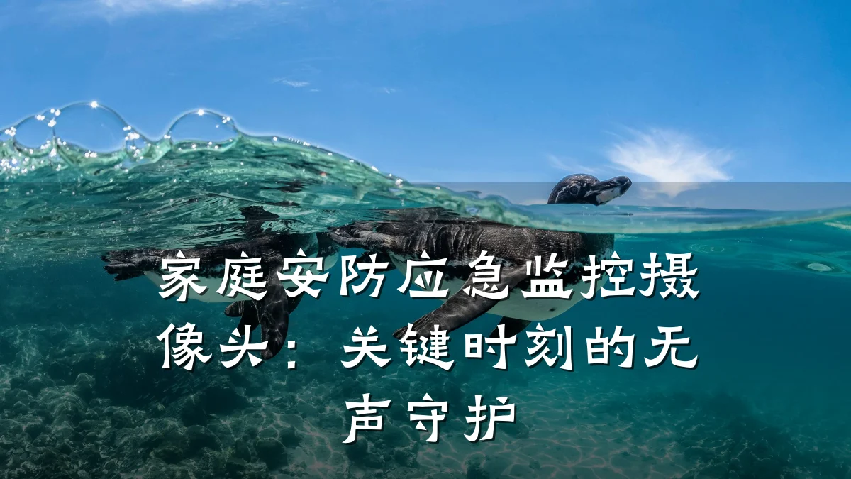 家庭安防应急监控摄像头:关键时刻的无声守护