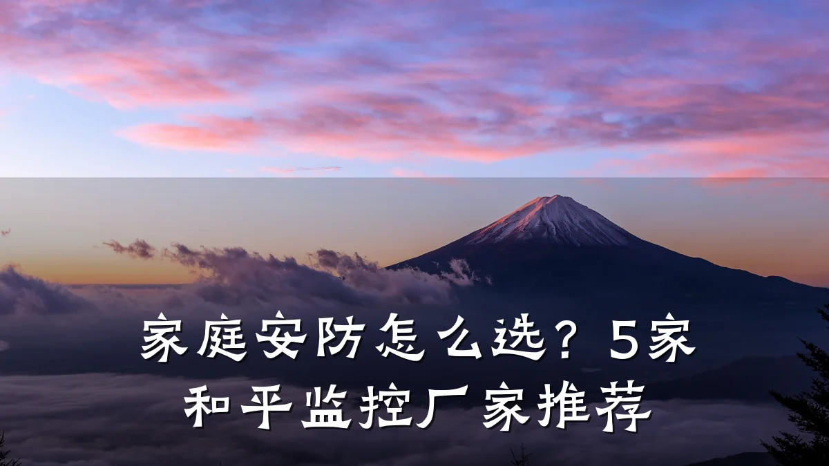 家庭安防怎么选?5家和平监控厂家推荐