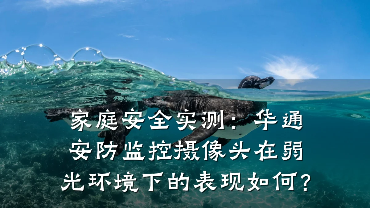 家庭安全实测:华通安防监控摄像头在弱光环境下的表现如何?