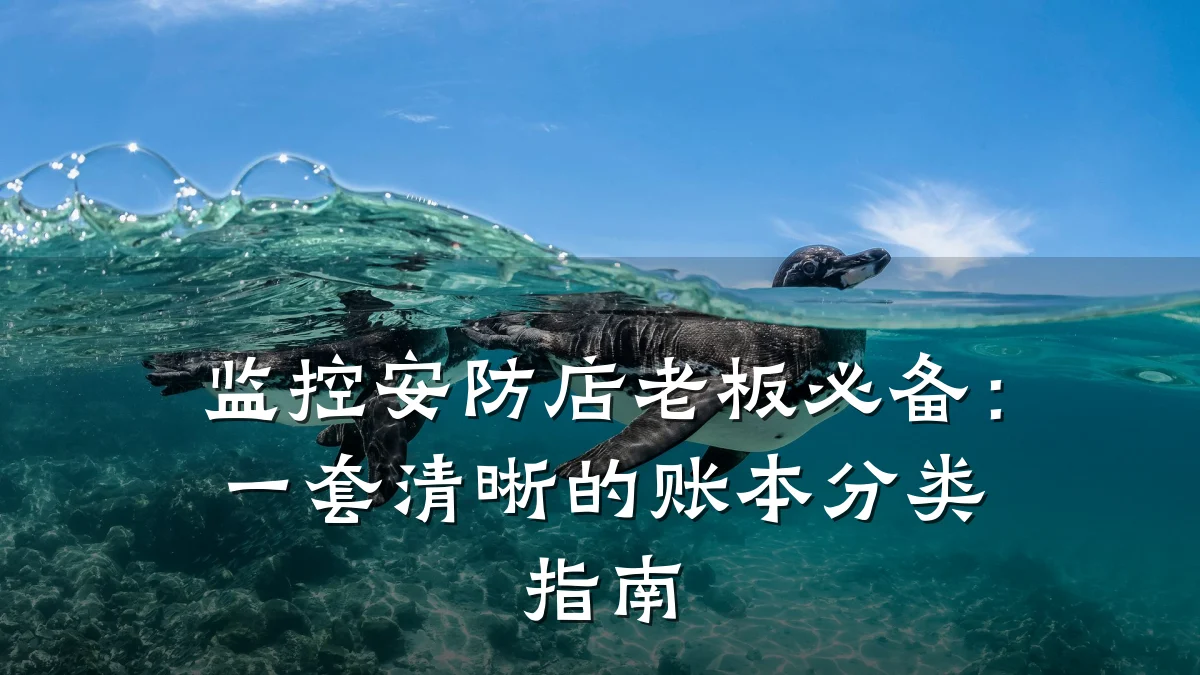 监控安防店老板必备:一套清晰的账本分类指南
