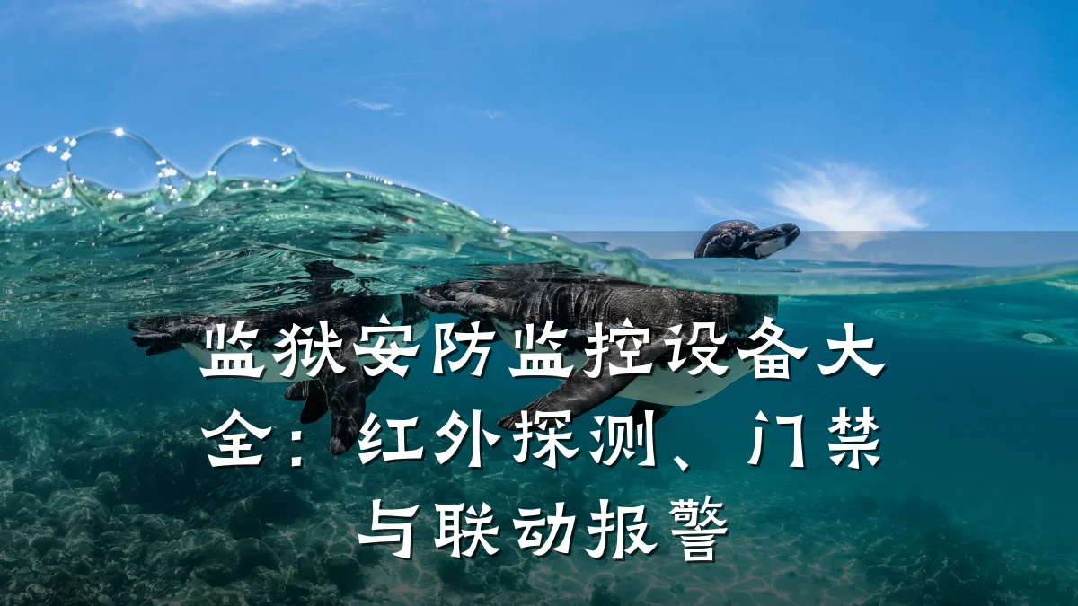 监狱安防监控设备大全:红外探测、门禁与联动报警