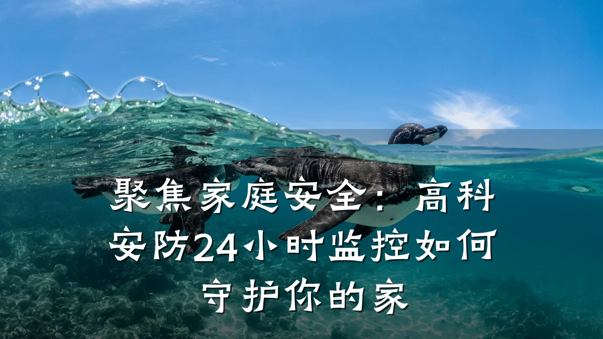 聚焦家庭安全:高科安防24小时监控如何守护你的家