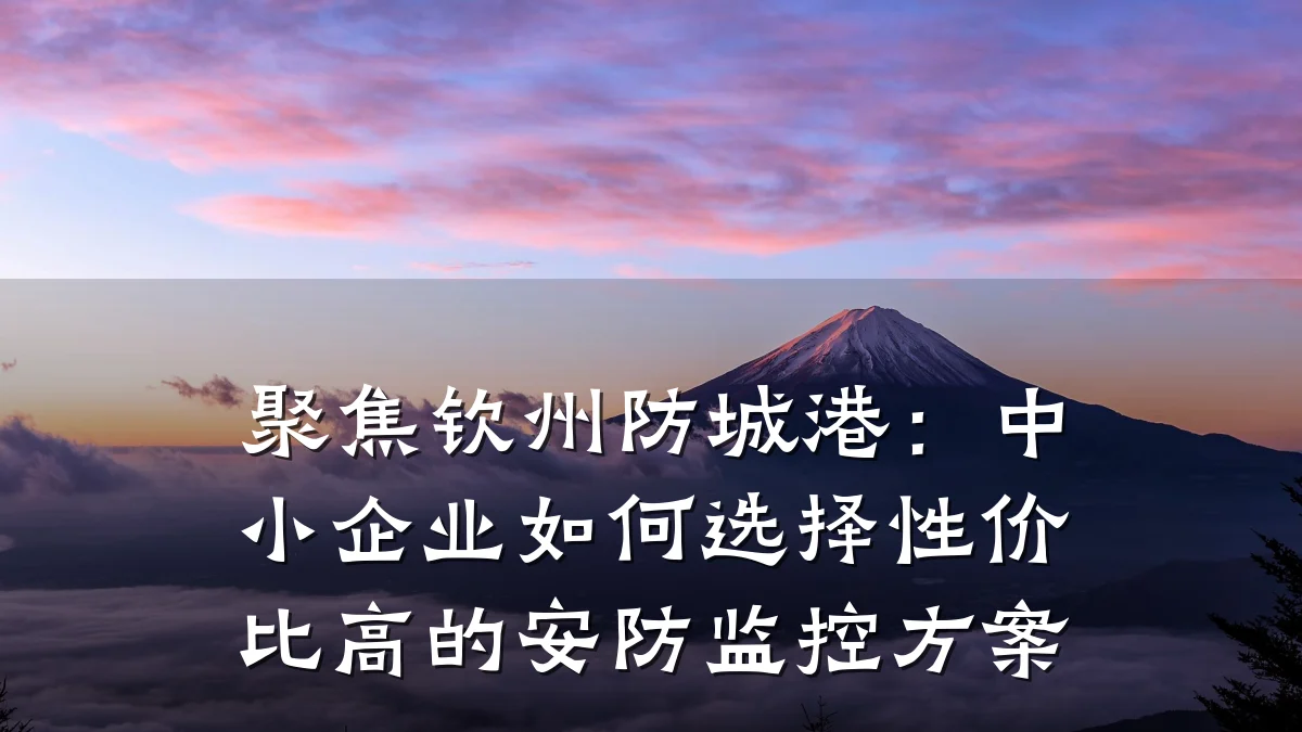 聚焦钦州防城港:中小企业如何选择性价比高的安防监控方案