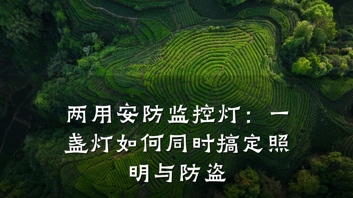 两用安防监控灯:一盏灯如何同时搞定照明与防盗