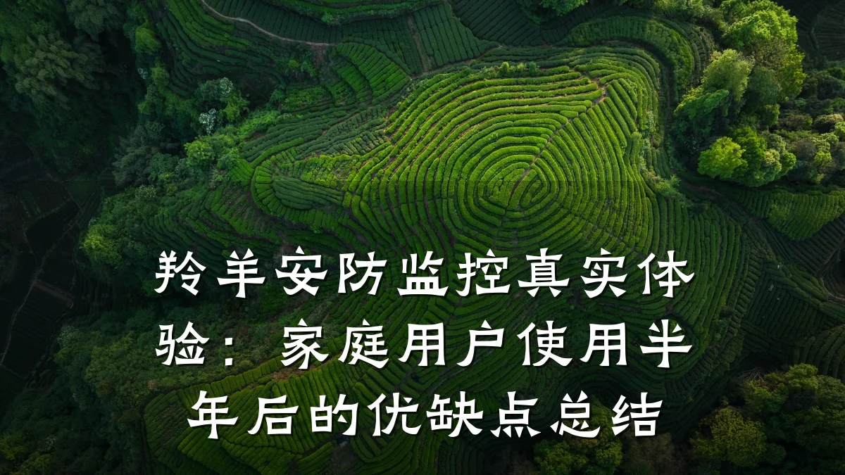 羚羊安防监控真实体验:家庭用户使用半年后的优缺点总结