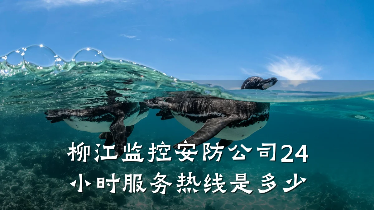 柳江监控安防公司24小时服务热线是多少
