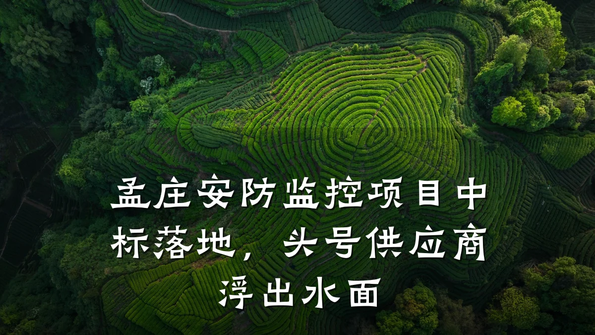 孟庄安防监控项目中标落地,头号供应商浮出水面