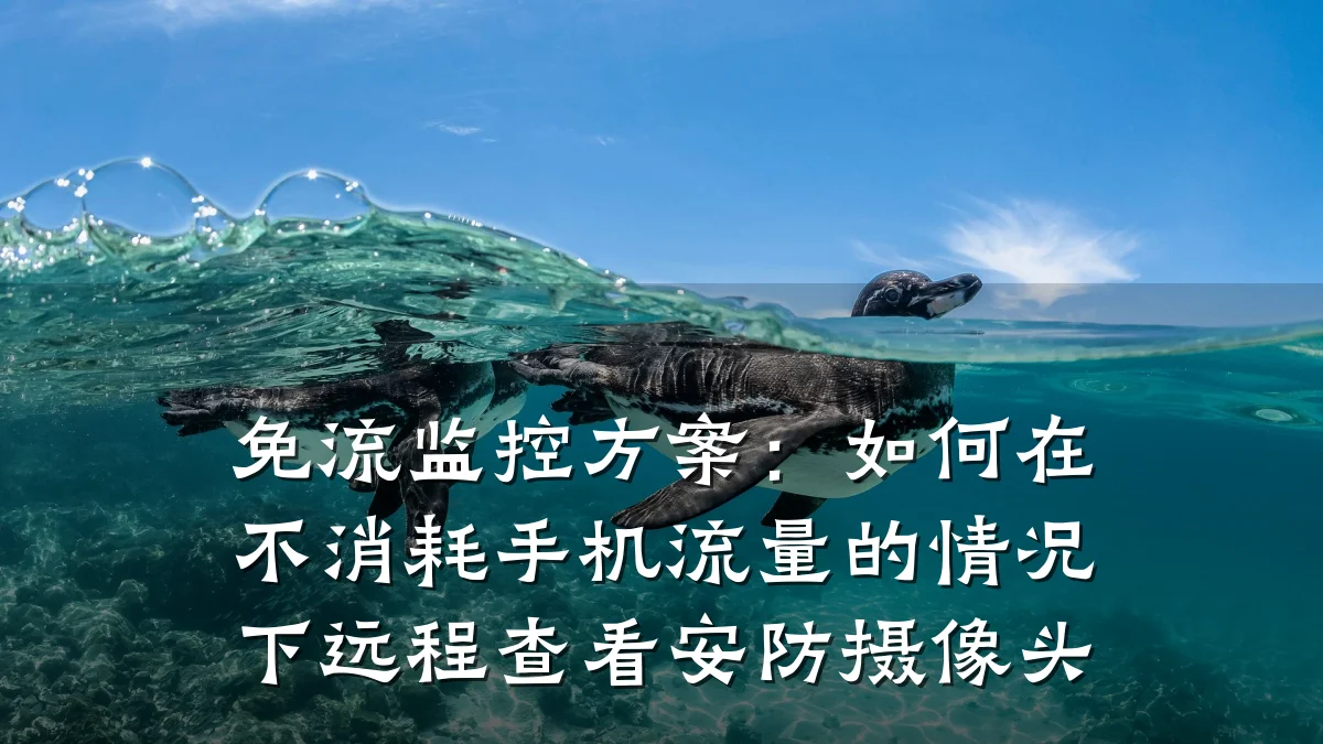免流监控方案：如何在不消耗手机流量的情况下远程查看安防摄像头