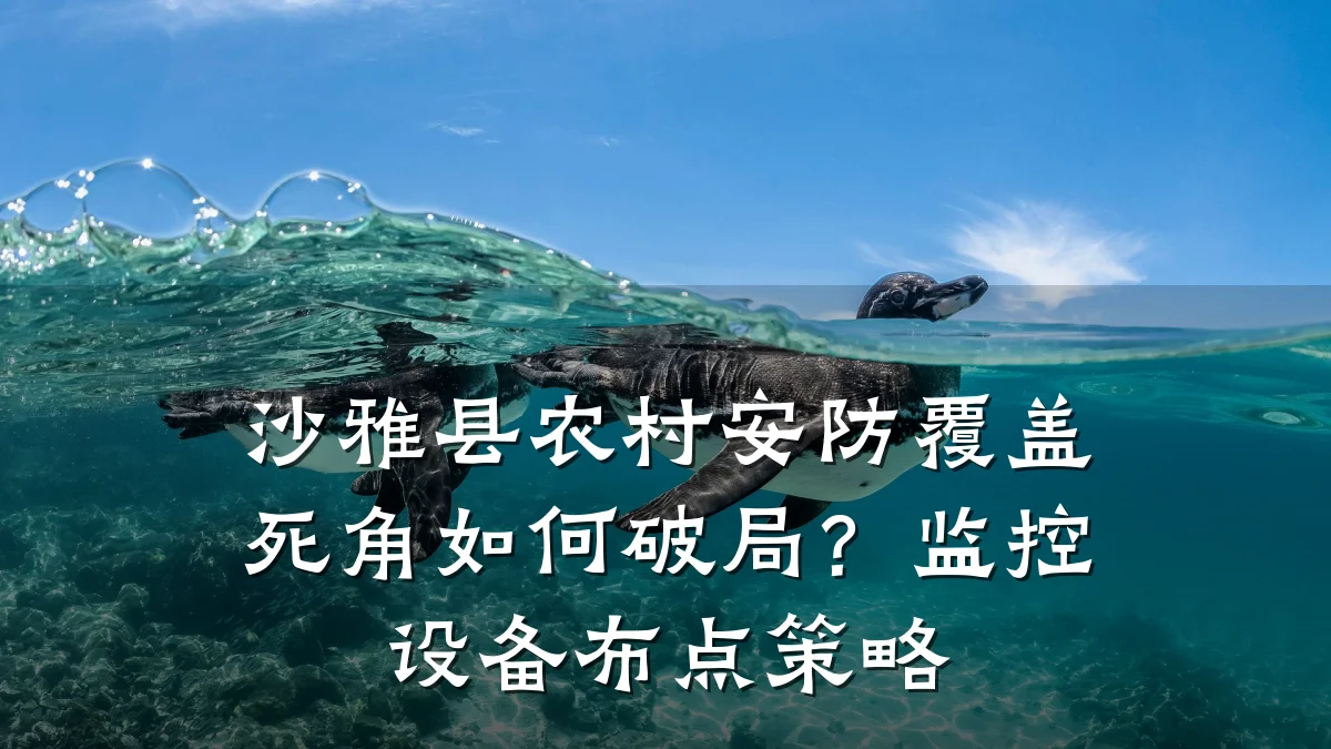 沙雅县农村安防覆盖死角如何破局?监控设备布点策略