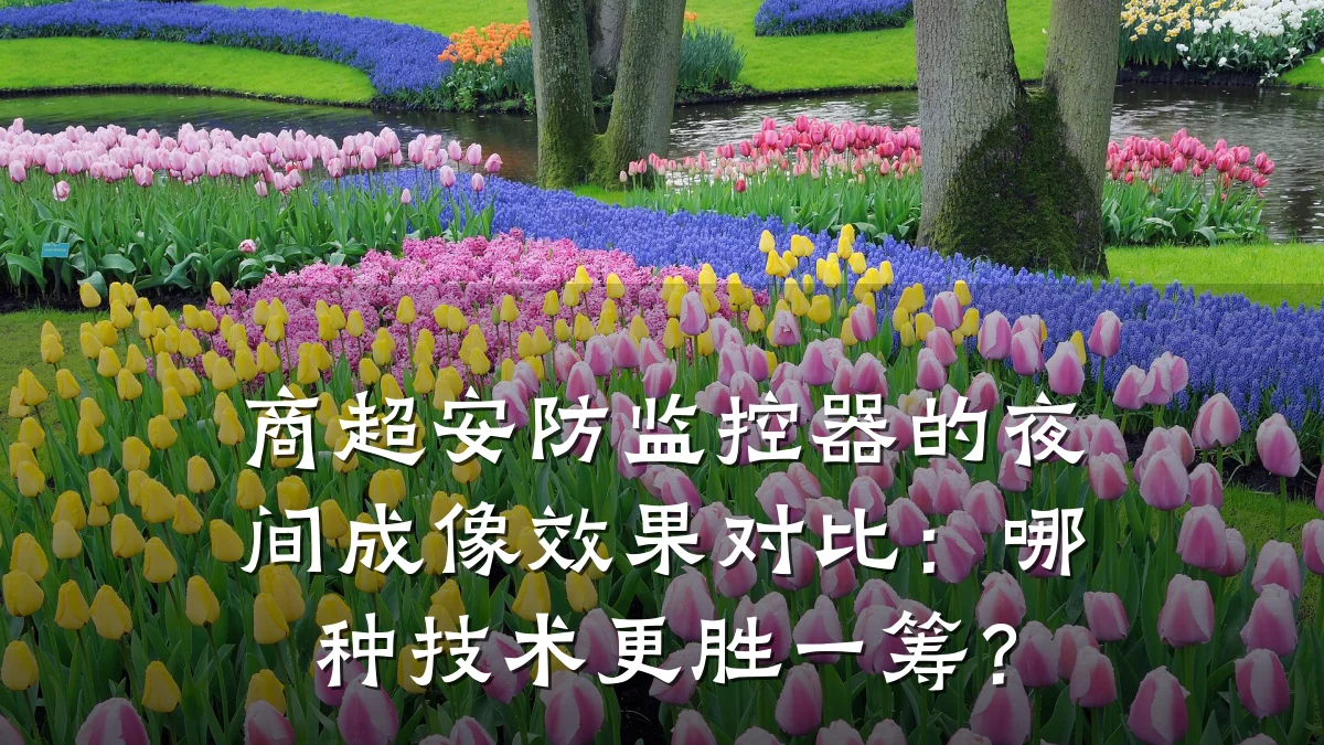 商超安防监控器的夜间成像效果对比：哪种技术更胜一筹？