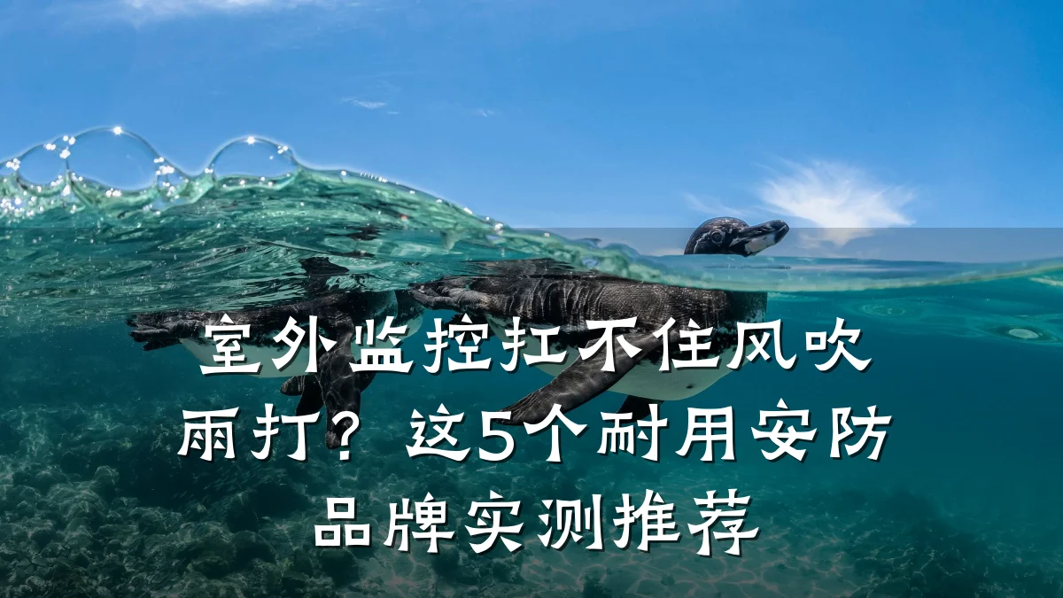 室外监控扛不住风吹雨打?这5个耐用安防品牌实测推荐