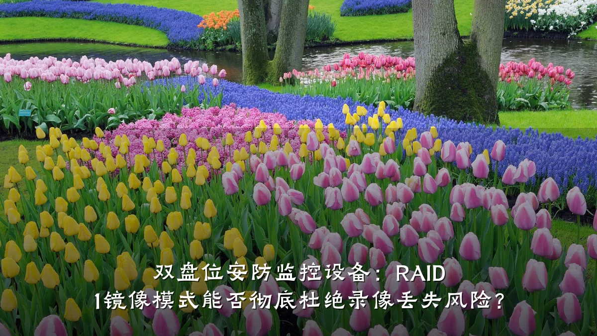 双盘位安防监控设备:RAID 1镜像模式能否彻底杜绝录像丢失风险?