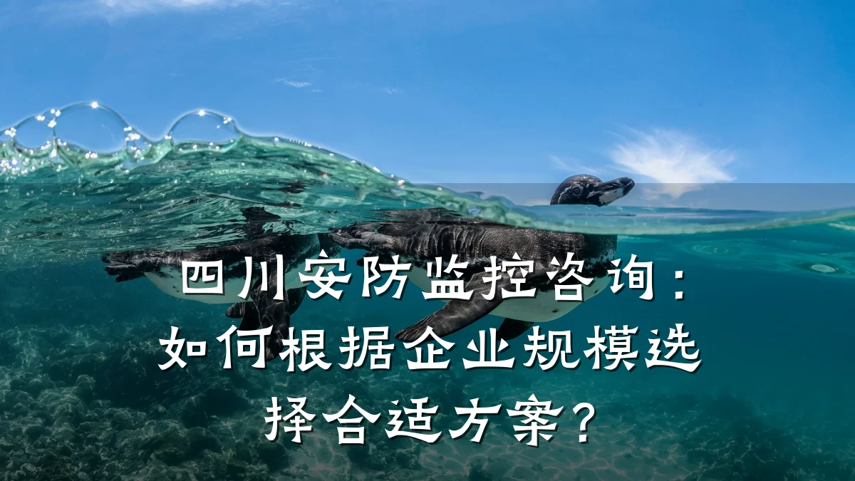 四川安防监控咨询:如何根据企业规模选择合适方案?