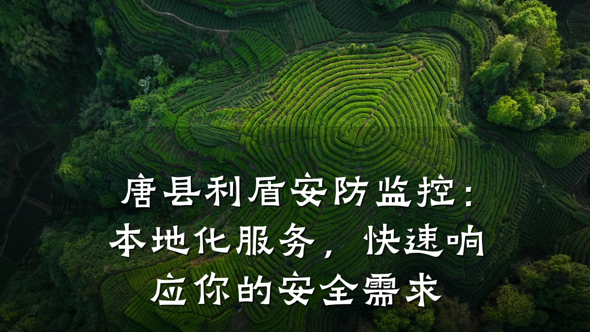 唐县利盾安防监控:本地化服务,快速响应你的安全需求