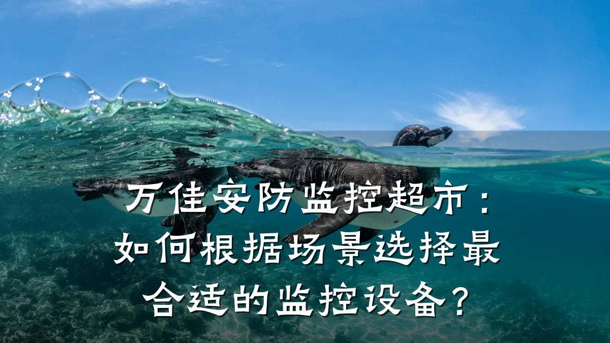 万佳安防监控超市:如何根据场景选择最合适的监控设备?