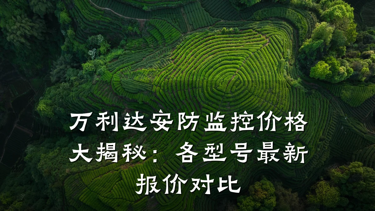 万利达安防监控价格大揭秘：各型号最新报价对比