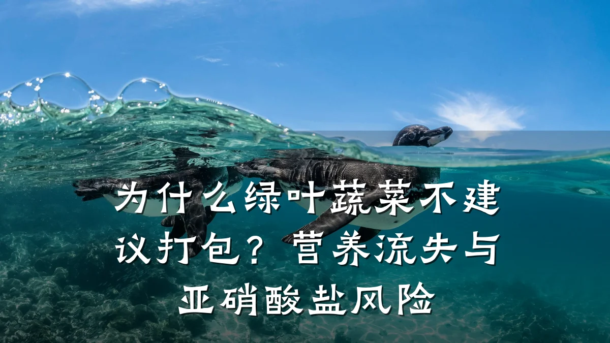 为什么绿叶蔬菜不建议打包？营养流失与亚硝酸盐风险