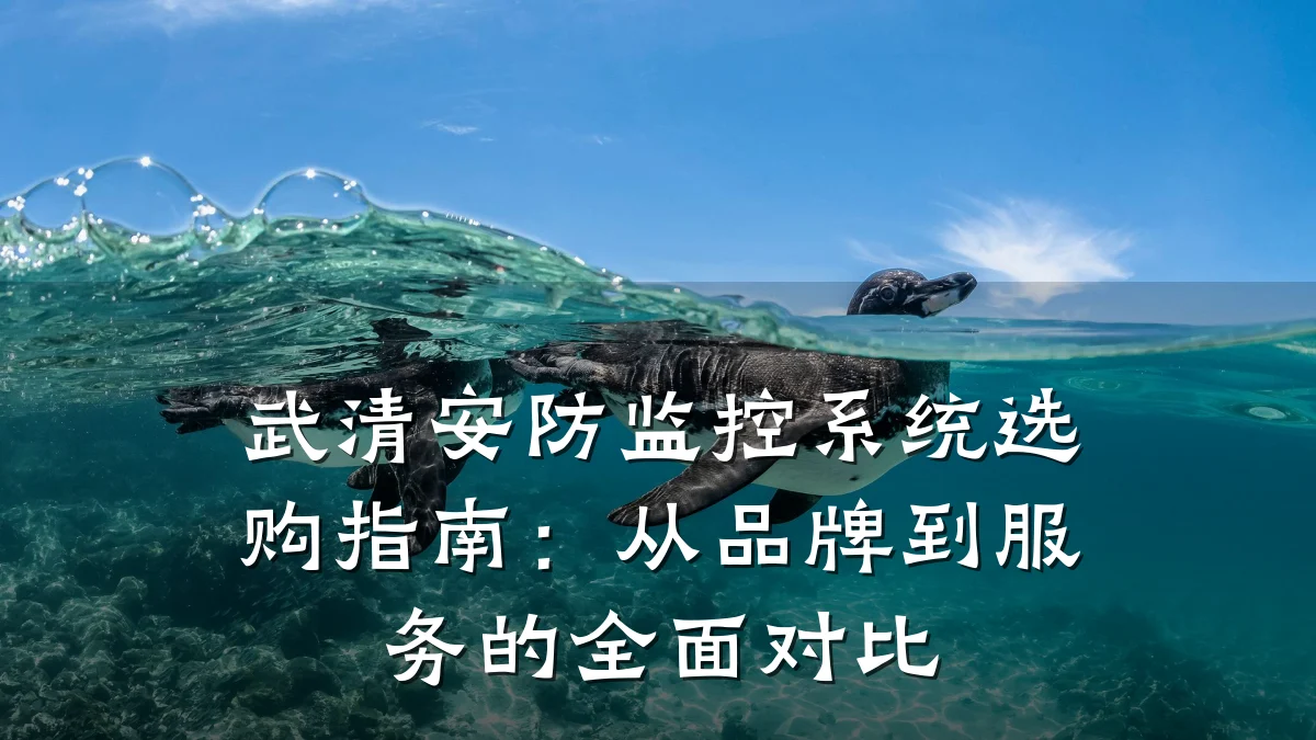 武清安防监控系统选购指南:从品牌到服务的全面对比