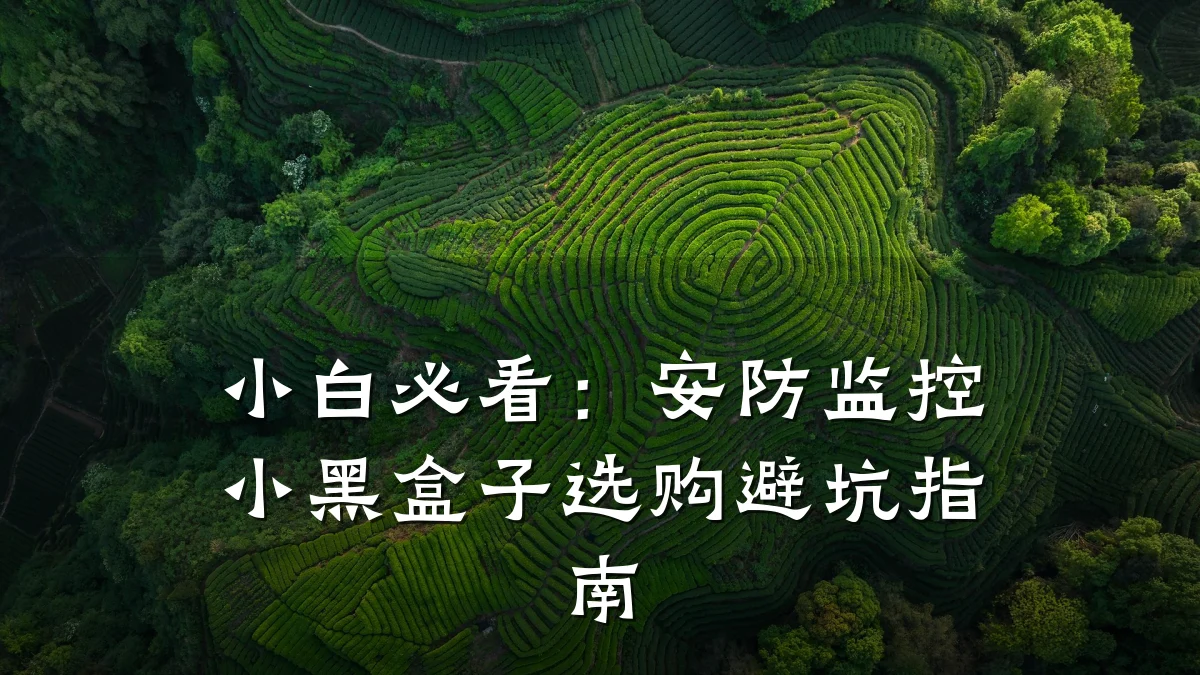 小白必看:安防监控小黑盒子选购避坑指南