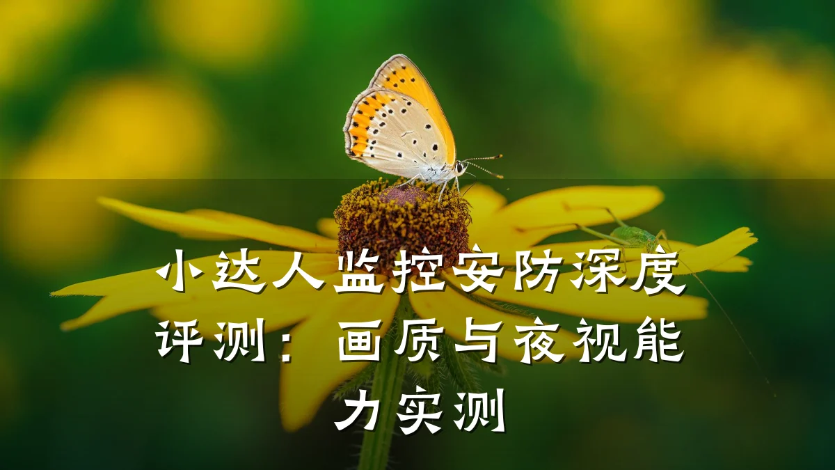 小达人监控安防深度评测:画质与夜视能力实测